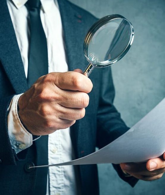 D&O Investigations Private Investigators
